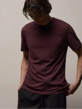 JAMES PERSE SHORT SLEEVE CREW NECK Men's Crew Neck T-Shirt in Deep Burgundy 4